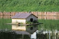 Pigeon and duck on a floating wooden duck house with a metal roof on a small pond