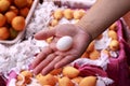Pigeon egg Royalty Free Stock Photo