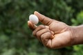 Pigeon egg on hand keeping with two-finger close up view Royalty Free Stock Photo