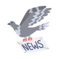 Pigeon Flying with Envelope Carrying Newsletter Vector Illustration