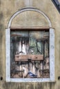 A Pigeon in the Frame of a Worn Window in Venice