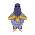 Pigeon gangster. Cool City bird. SWAG gangsta. Pigeon guy rapper