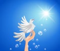 Pigeon on a hand and sun against blue sky. Royalty Free Stock Photo