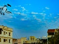 A bevy of Pigeons enjoys their magic hour stroll in Indian cityscape.