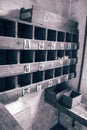 Pigeon hole box shelving on a wall in an old vintage workshop.