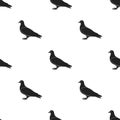 Pigeon icon in black style isolated on white background. Bird pattern stock vector illustration. Royalty Free Stock Photo