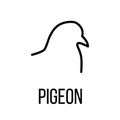 Pigeon icon or logo in modern line style.