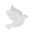 Pigeon icon vector image.
