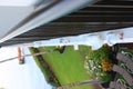 Pigeon on Ledge in Hawaii Maui Ka'anapali Beach and Black Rock Royalty Free Stock Photo