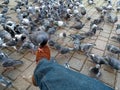 Pigeon on a man`s foot