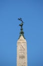 The pigeon of Navona Square