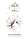 Pigeon and olive clip art digital drawing watercolor bird fly peace dove for wedding celebration illustration similar on Royalty Free Stock Photo