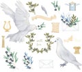 Pigeon and olive clip art digital drawing watercolor bird fly peace dove for wedding celebration illustration similar on white Royalty Free Stock Photo