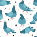 Pigeon pattern. Cartoon seamless texture of wild city birds. Flying animals flock and seeds. Standing or eating gray doves. Town