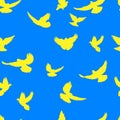 Pigeon pattern, pigeon realistic, flying yellow pigeon, blue pattern, blue and yellow, pattern for decoration, packaging and print