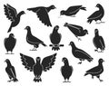 Pigeon of peace black vector illustration on white background.Vector illustration set icon dove of bird .Isolated set Royalty Free Stock Photo