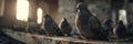 Pigeon Perched in Sunbeam Among Flock Indoors Royalty Free Stock Photo