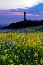 Pigeon Point Light House