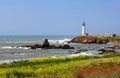 Pigeon Point Lighthouse Royalty Free Stock Photo