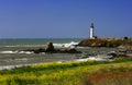Pigeon Point Lighthouse Royalty Free Stock Photo