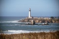 Pigeon Point Lighthouse, landscape view with brush and ocean waves in the foreground, on a clear sunny day on the California Coast Royalty Free Stock Photo