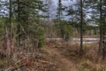 The Pigeon River flows through Grand Portage State Park and Indian Reservation. It is the Border between Ontario and Minnesota Royalty Free Stock Photo