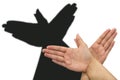 Pigeon shadow hand