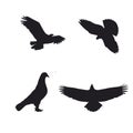 Pigeon silhouette Images Vector art