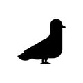 Pigeon silhouette isolated. Black dove Vector illustration