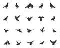 Pigeon silhouette, Pigeon vector illustration, Pigeon bird silhouettes