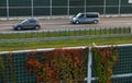 Pigeon sitting on a barrier protecting against noise generated by car traffic. Highway