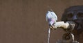 Pigeon sitting on the water dispenser of a fountain.