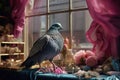 pigeon standing near a window display of a luxury boutique Royalty Free Stock Photo