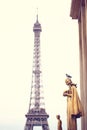 Pigeon standing on a statue near Eiffel Tower Royalty Free Stock Photo