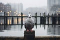 a pigeon is standing on a wooden post in front of a body of water