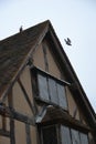 Pigeon taking flight from roof of traditional English Tudor house - timber framed Shakespeare`s birthplace, Stratford-upon-Avon Royalty Free Stock Photo