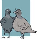 Pigeon talk