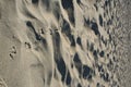 Pigeon tracks in sand