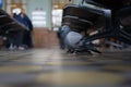 A pigeon at a train station in Saint Petersburg. Royalty Free Stock Photo