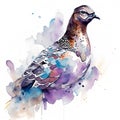 Pigeon watercolor illustration. Hand drawn bird on white background AI Generated