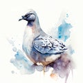 Pigeon watercolor illustration. Hand drawn bird on white background Generative AI