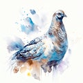 Pigeon watercolor illustration. Hand drawn bird on white background generative AI