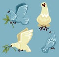 Pigeon or white dove flying with olive branch or twig in claws isolated bird Royalty Free Stock Photo