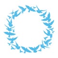 Blue round frame of flying doves.