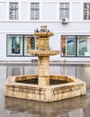 Pigeons bathe in the fountain on the Nicolae Balcrscu street in Sibiu city in Romania Royalty Free Stock Photo