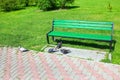 Pigeons and bench