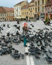 Pigeons in The Council Square