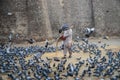 Pigeons Feeder Multan