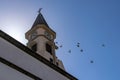 Pigeons in flight from the clock tower of the chapel of Nuestra Senora de Bonanza in El Paso, La Palma, Canary Islands, Spain