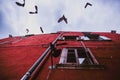 Pigeons fly on the facade of the old red house in old town. Rovinj, Croatia Royalty Free Stock Photo